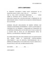 Vista preliminar de documento carta compromiso cobranza giros exterior