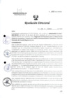 Vista preliminar de documento R.D. 1050-2023