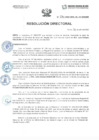 Vista preliminar de documento Resolución Directorial N294-2023-DIRESA
