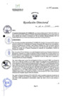 Vista preliminar de documento R.D. 1065-2023