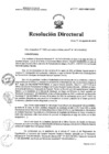 Vista preliminar de documento RD N° 250-2023-HNCH-DG