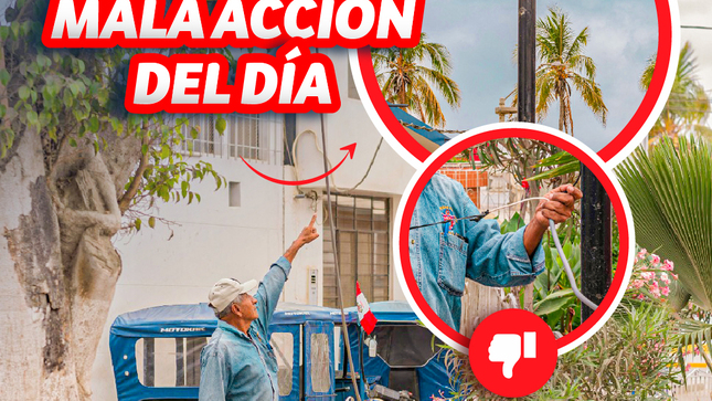 ¡Indignante! Delincuentes roban reflector 