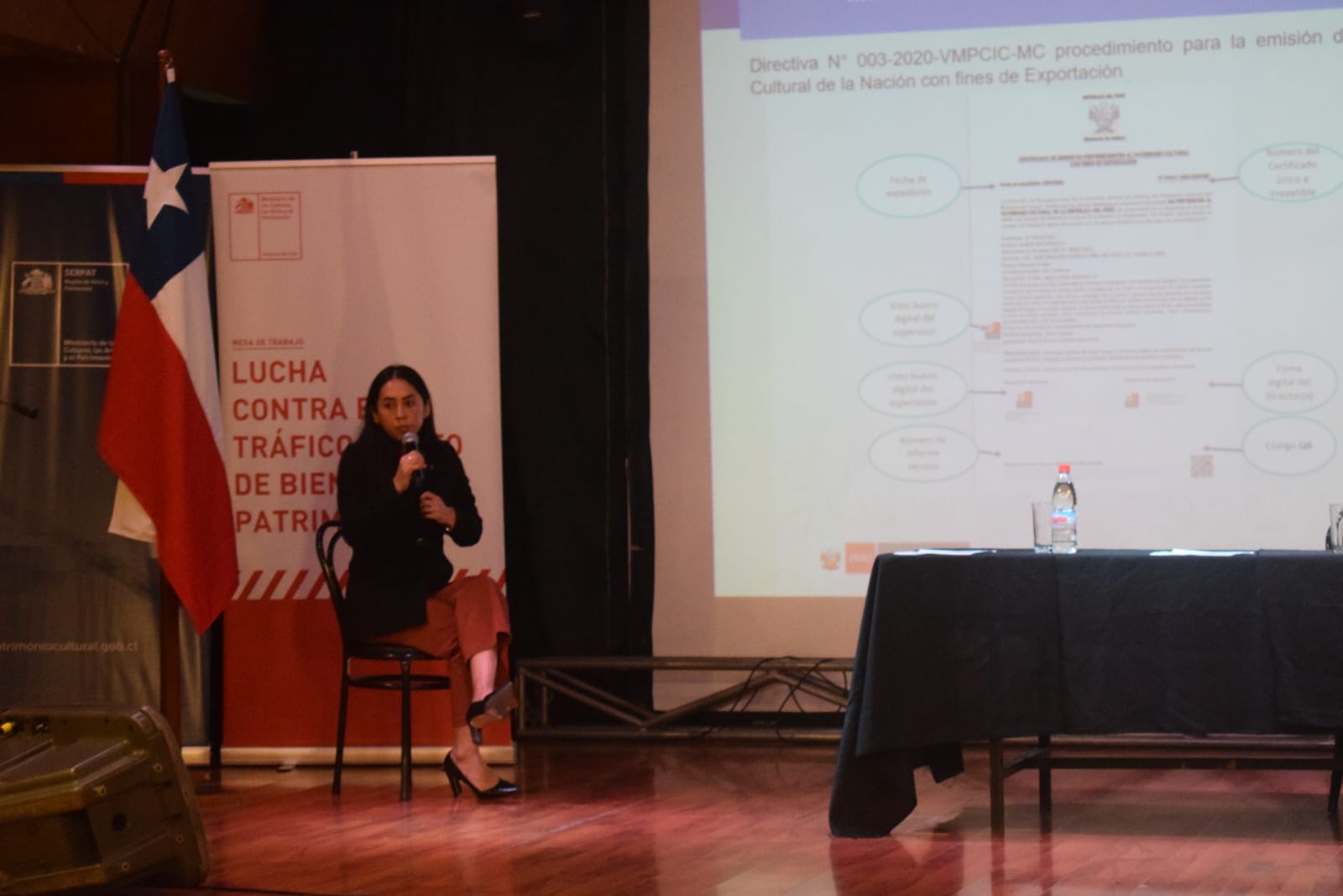 Ministerio de Cultura participó del Taller Binacional Chile-Perú sobre lucha contra el tráfico ilícito de bienes culturales