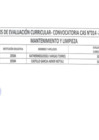 Vista preliminar de documento RESULTADOS CURRICULAR