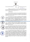 Vista preliminar de documento RES N°653-2023-GR