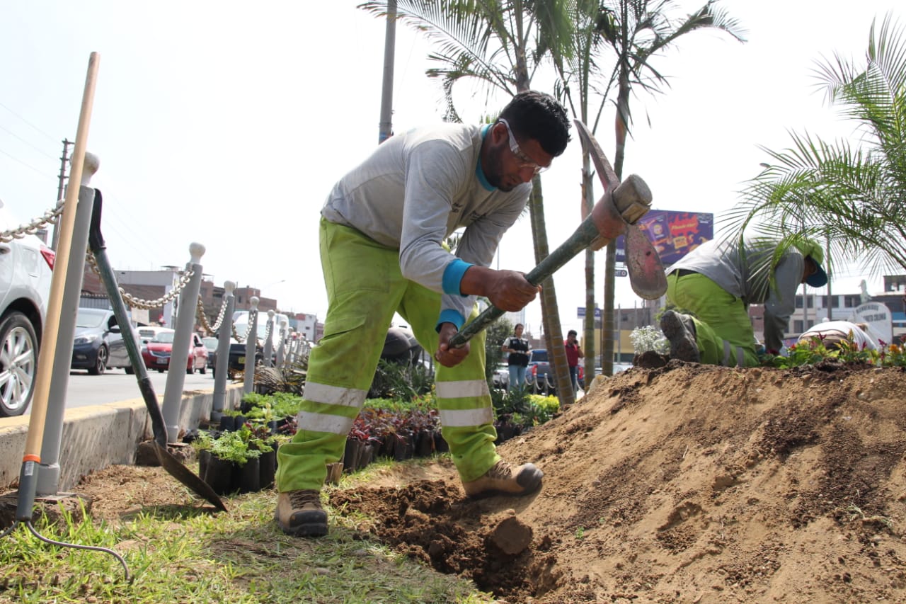 Operativo para la recuperación de espacios verdes en el distrito