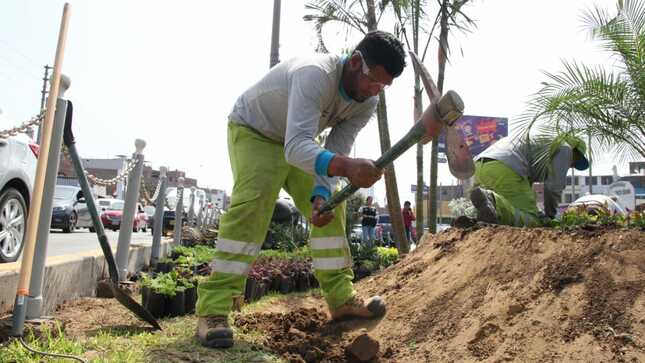 Operativo para la recuperación de espacios verdes en el distrito 