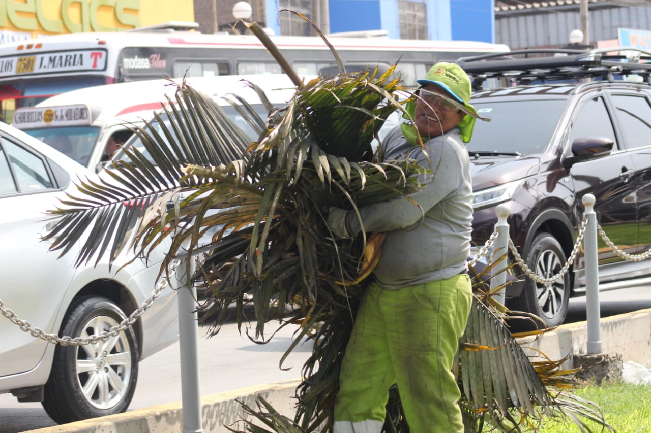 Se recogió gran cantidad de maleza de los trabajos realizados