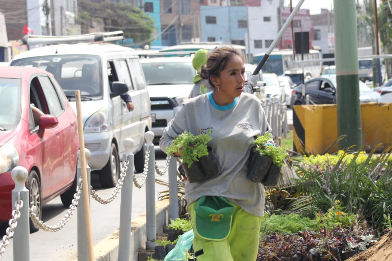 'Comando Verde' pone más bonito a nuestro distrito