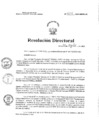 Vista preliminar de documento RD N° 254-2023-HNCH-DG