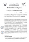 Vista preliminar de documento RDR-0896-2023