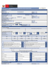 Vista preliminar de documento Formato DAMGRS