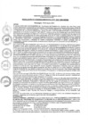 Vista preliminar de documento rgm0172021gmampmn