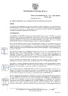Vista preliminar de documento Resolución Gerencial N° 079-2023-GM-MSStYehc