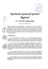 Vista preliminar de documento RGGR 193-2023-GRL-GGR