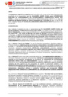 Vista preliminar de documento RD 265-2023