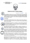 Vista preliminar de documento RD 104-2023-SA-DG-INR