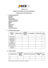 Vista preliminar de documento Anexo N° 8 - Modelo de Curriculum Vitae Descriptivo