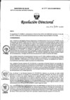 Vista preliminar de documento RD N° 287-2023-DG-INMP/MINSA