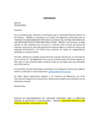 Vista preliminar de documento Comunicado de indagación de mercado