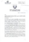 Vista preliminar de documento RD195