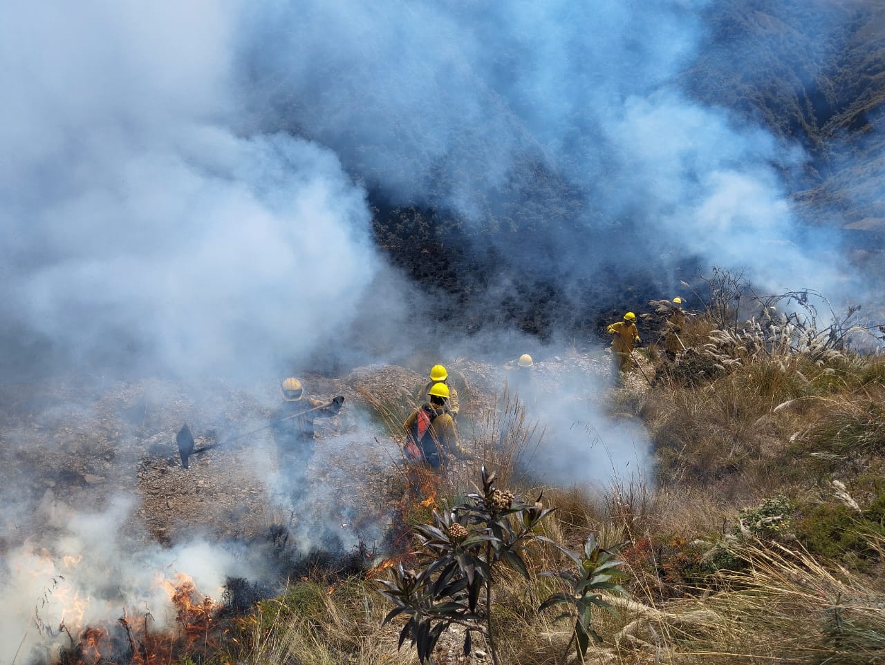 Incendio PN del Manu