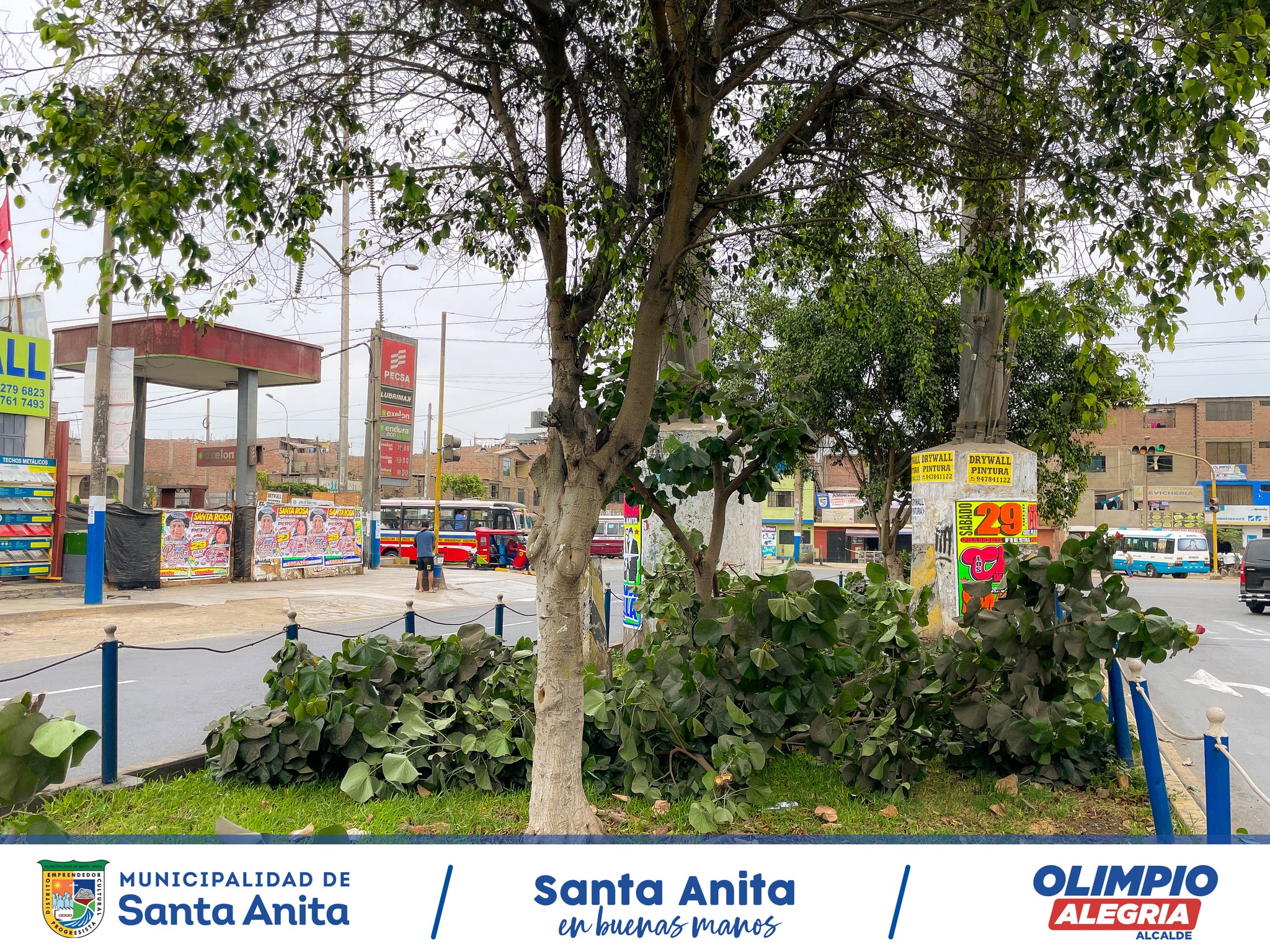 SEGUIMOS RECUPERANDO NUESTRAS ÁREAS VERDES 💚🌳