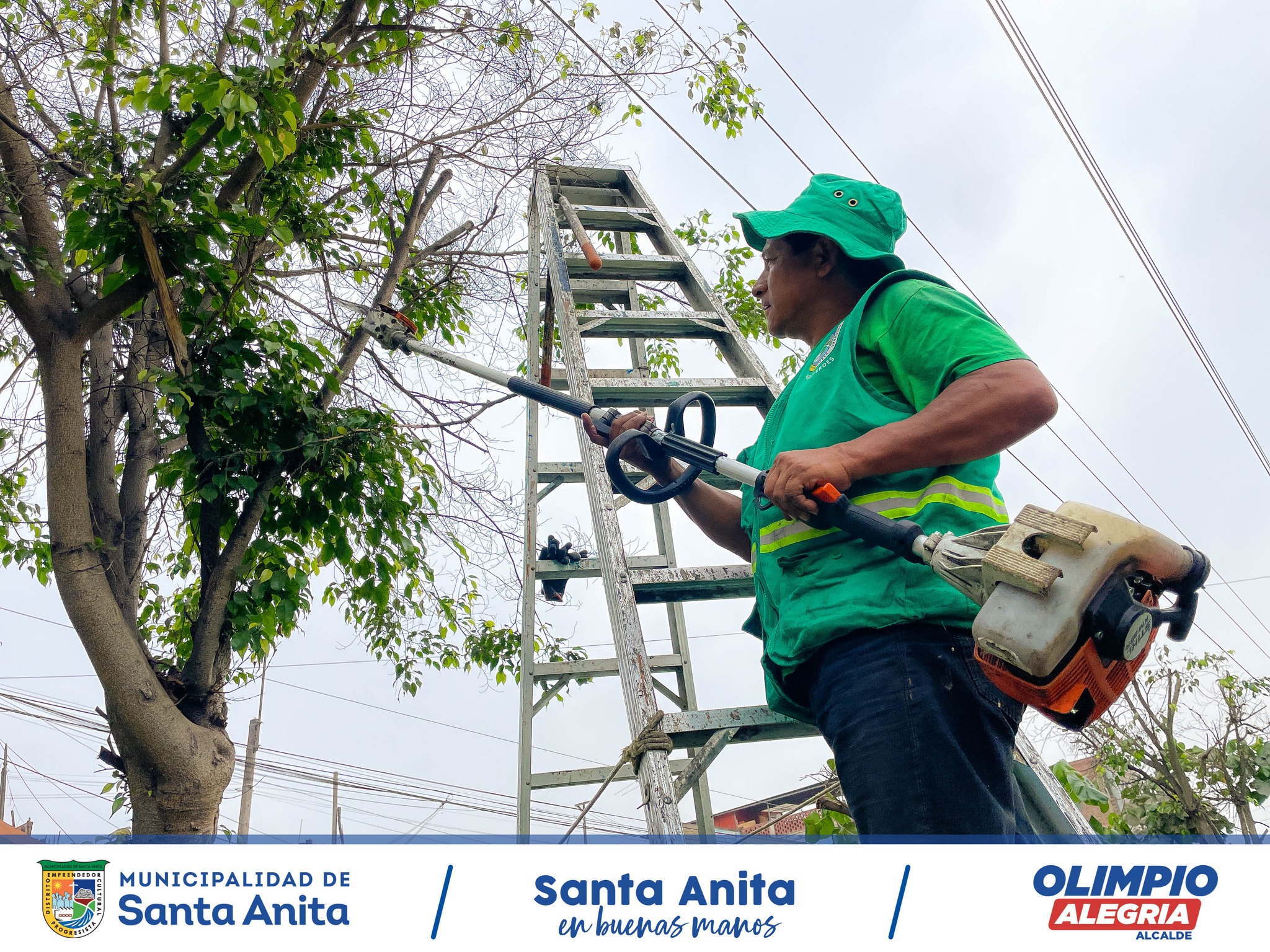 SEGUIMOS RECUPERANDO NUESTRAS ÁREAS VERDES 💚🌳