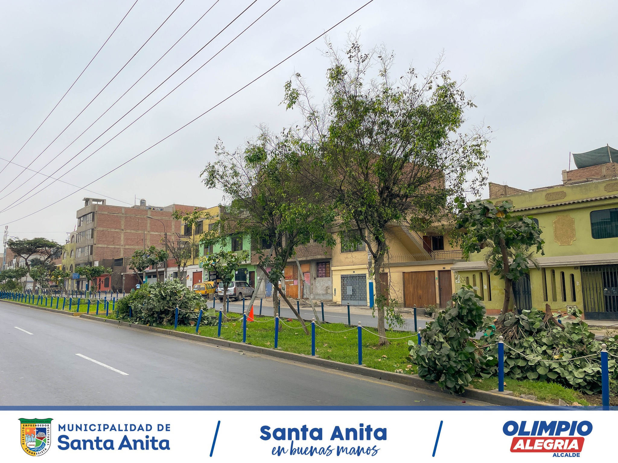 SEGUIMOS RECUPERANDO NUESTRAS ÁREAS VERDES 💚🌳