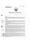 Vista preliminar de documento R.D. 1100-2023