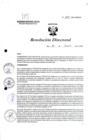 Vista preliminar de documento R.D. 1113-2023