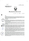 Vista preliminar de documento R.D. 1114-2023