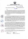 Vista preliminar de documento RDR N° 0430-2023-24-07-2023