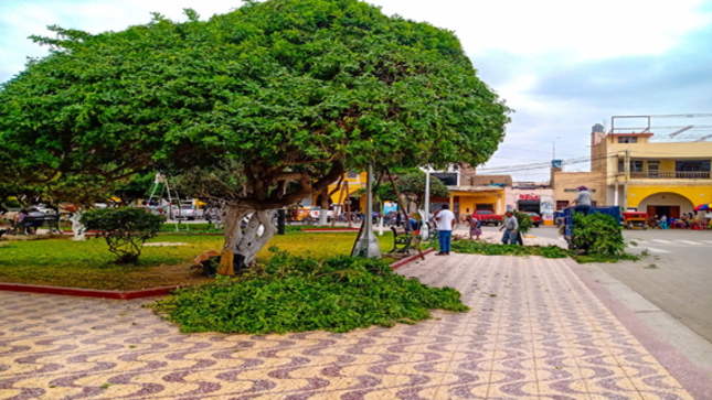 mejoramiento de la plaza-01