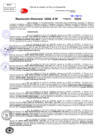 Vista preliminar de documento Resolucion Directoral N° 003905-2023