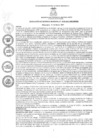 Vista preliminar de documento rgm01002021gmampmn
