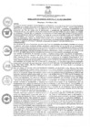 Vista preliminar de documento rgm1012021gmampmn