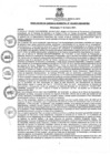 Vista preliminar de documento rgm1022021gmmpmn