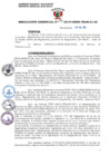 Vista preliminar de documento 236-2019-GRSM-PEAM-01.00  