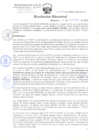Vista preliminar de documento Resoluciòn Directoral Nº 535-2022-HRHVM-DE-DA-UP