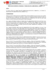 Vista preliminar de documento 0595-07