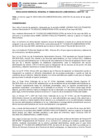 Vista preliminar de documento 0600-08