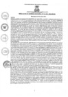 Vista preliminar de documento rgm1332021gmampmn