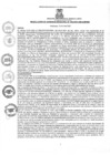 Vista preliminar de documento rgm1362021gmampmn