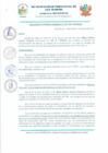 Vista preliminar de documento resolución de gerencia municipal N°110-2023-MPSM-GM