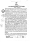 Vista preliminar de documento rgm01372021gmampmn
