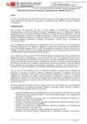 Vista preliminar de documento Resolución Ejecutiva RegionalvWNWw