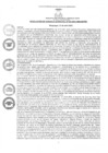 Vista preliminar de documento rgm1522021gmampmn