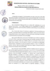 Vista preliminar de documento RA-196