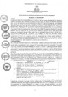 Vista preliminar de documento rgm01562021gmampmn